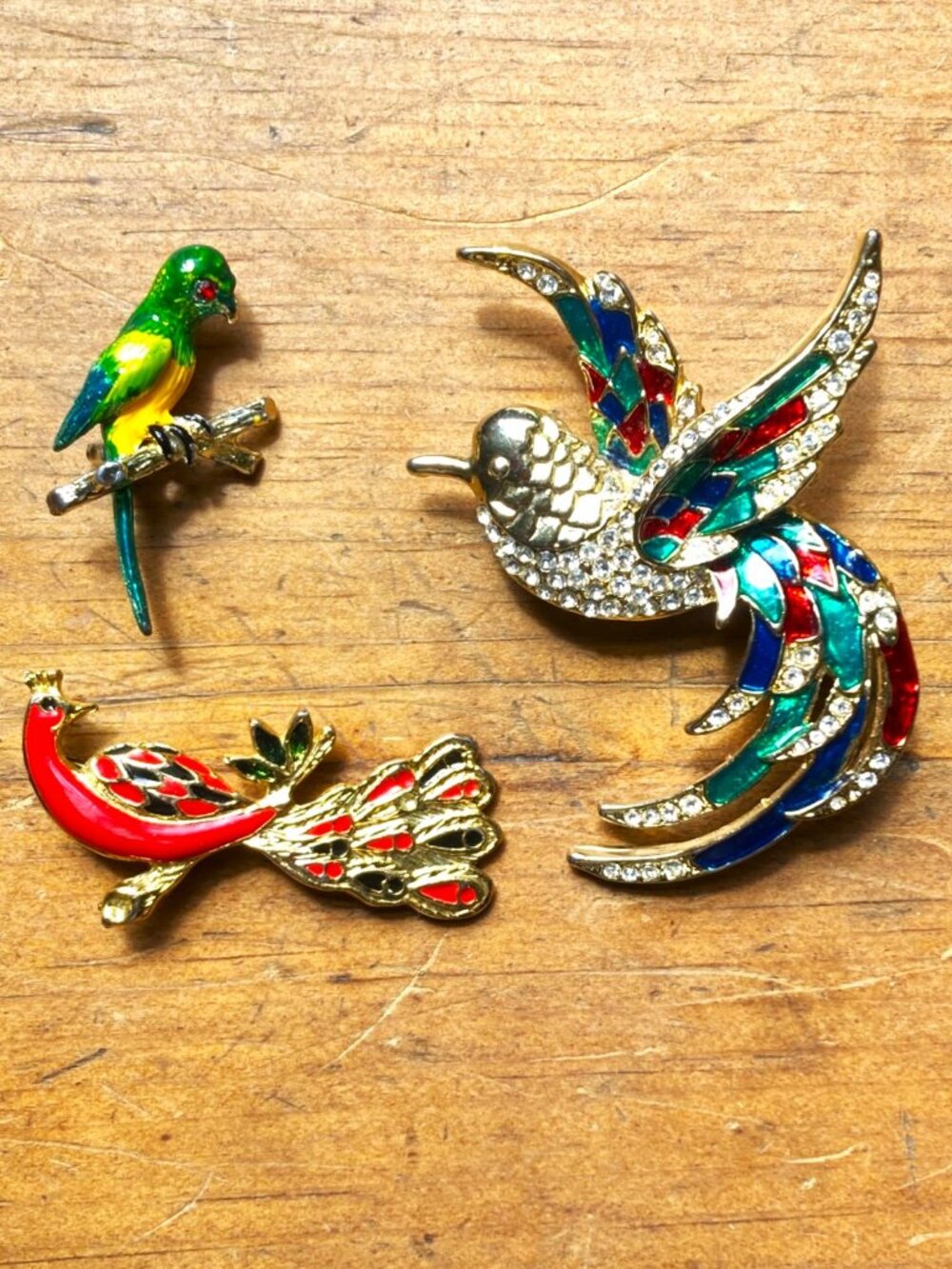 Trio or splendid exotic bird brooches